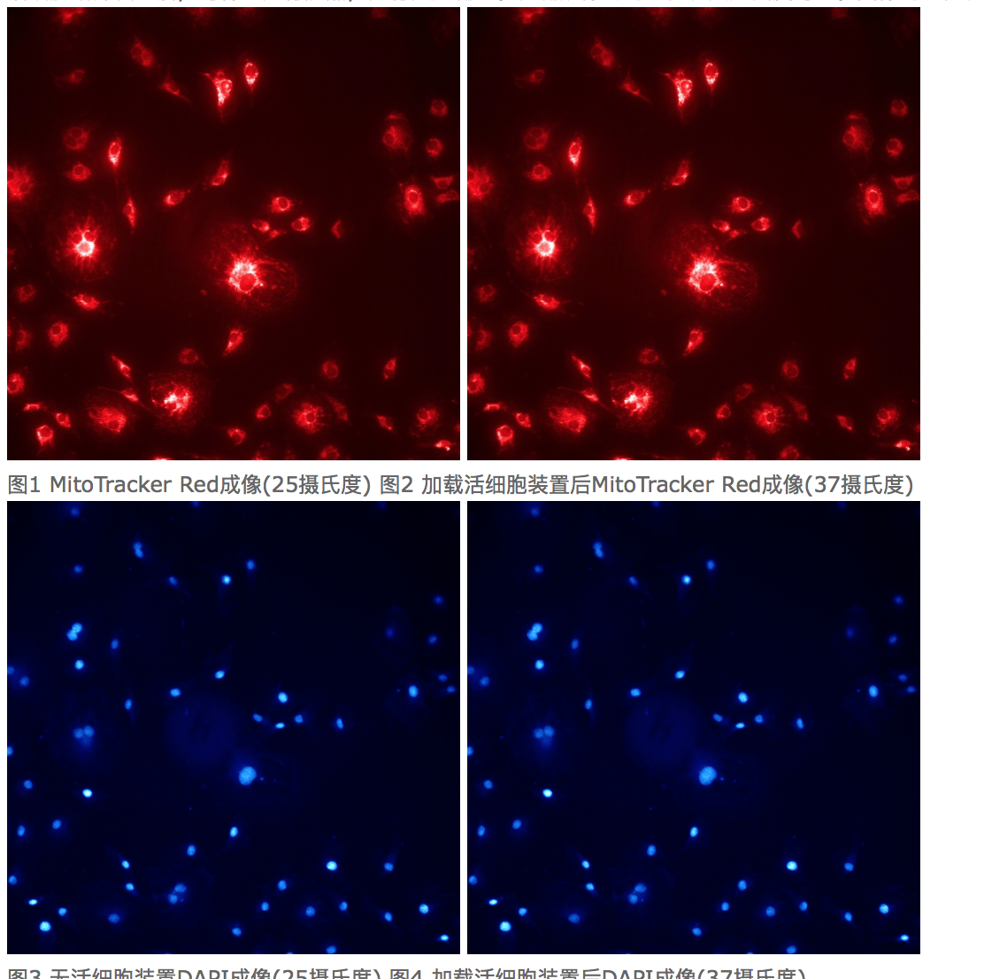 屏幕快照 2022-08-30 下午4.37.50.png
