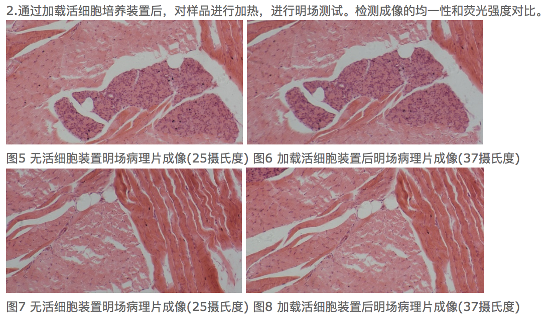 屏幕快照 2022-08-30 下午4.38.03.png